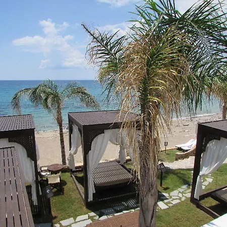 Studios Coralli Hotel Pefki (Rhodes)